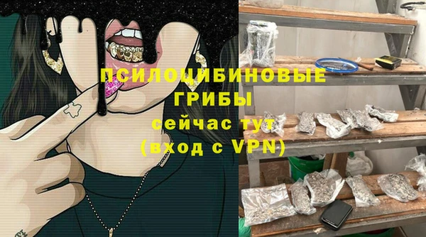 каннабис Богданович